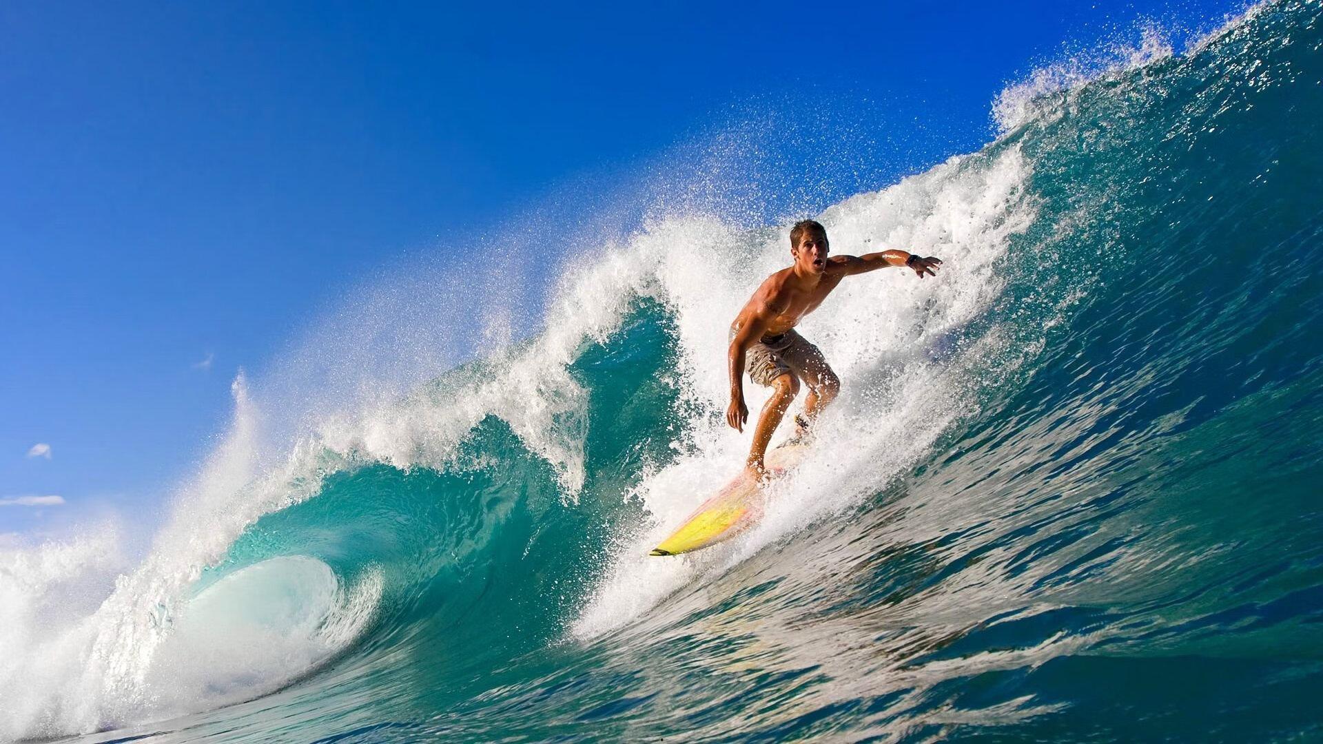 激情与归属，全球球迷文化如何塑造现代体育精神