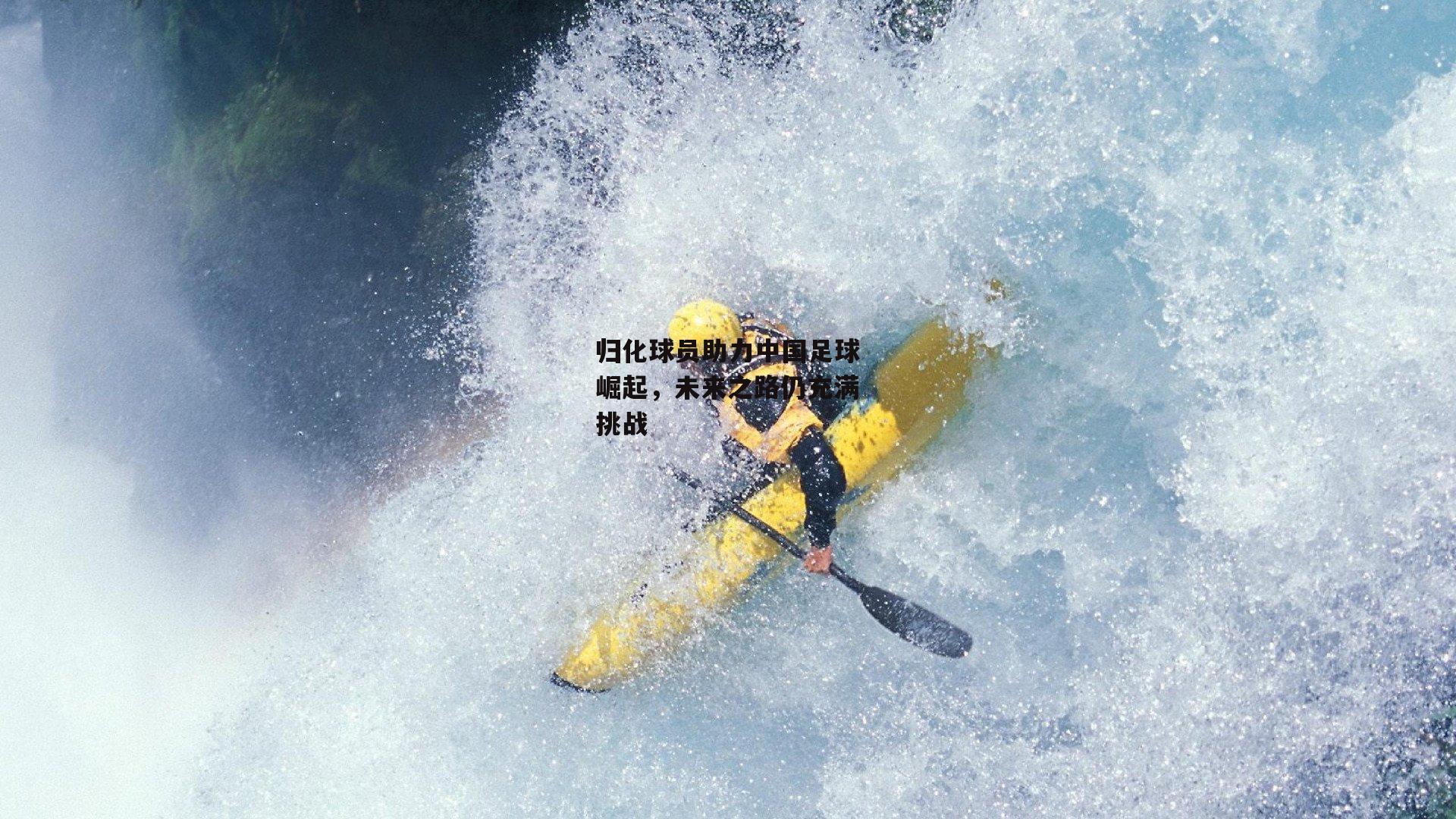 乐竞体育官网：归化球员助力中国足球崛起，未来之路仍充满挑战